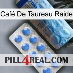 Café De Taureau Raide 40